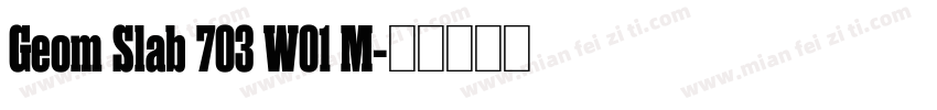 Geom Slab 703 W01 M字体转换